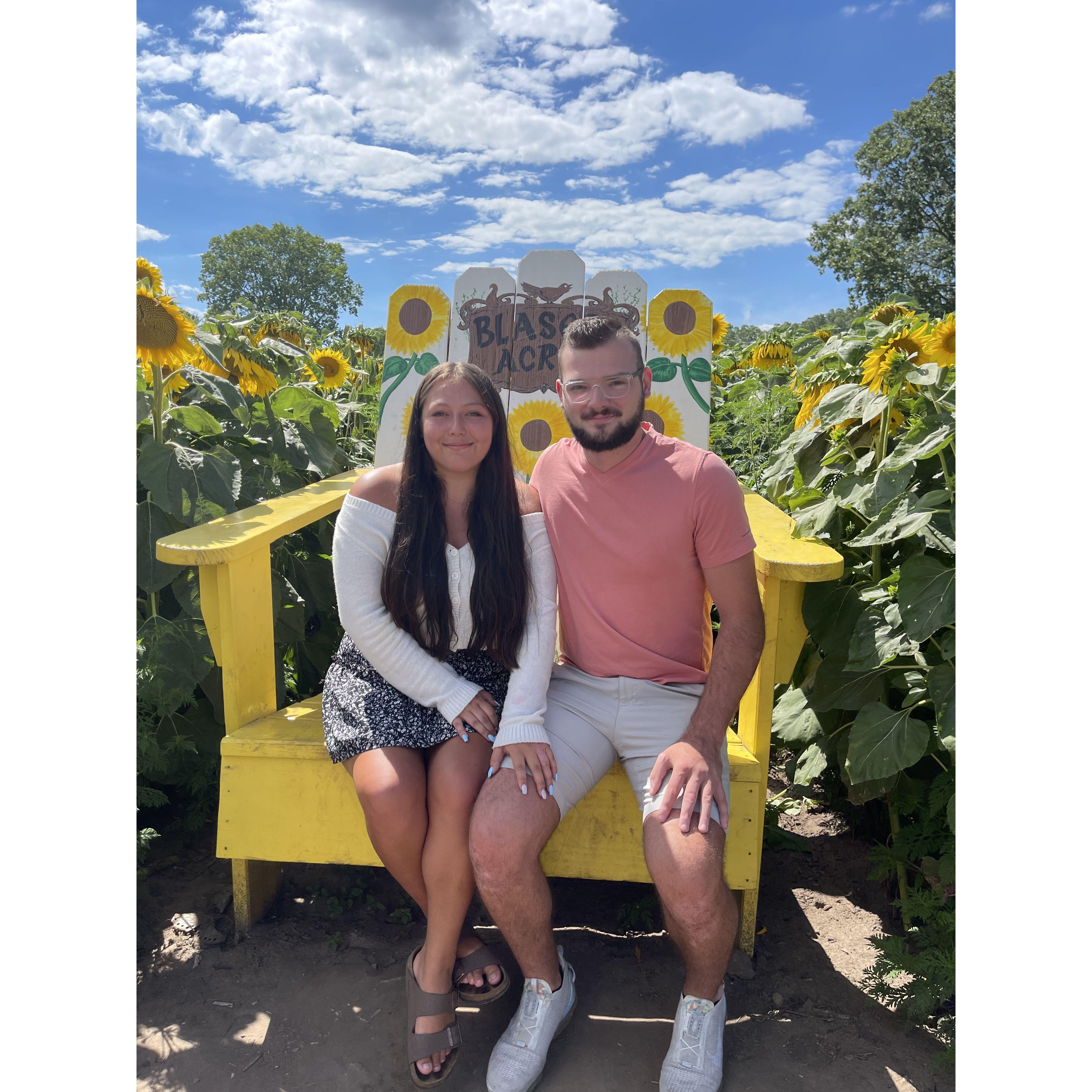 Sunflower date