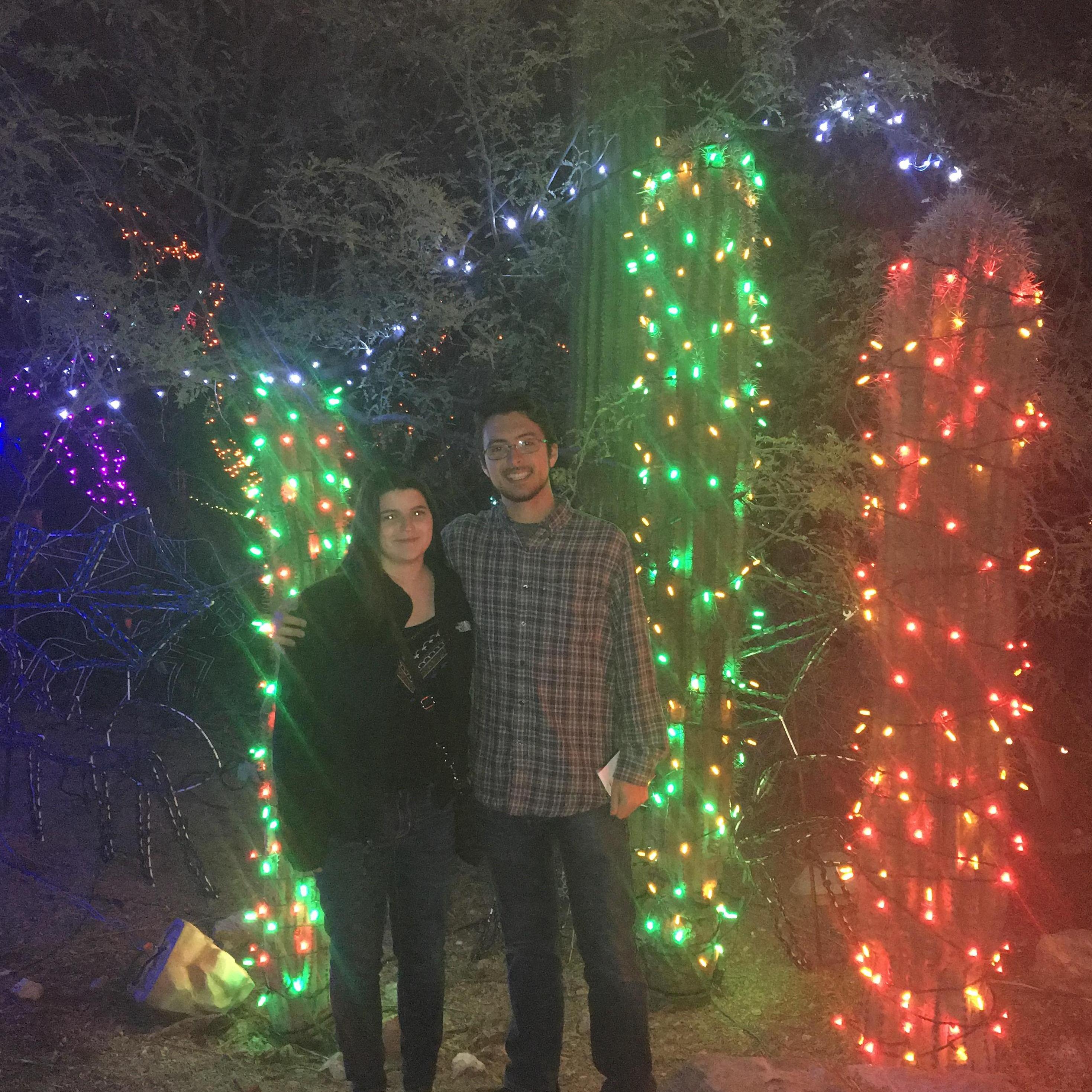 Phoenix Zoo Lights - January 2018