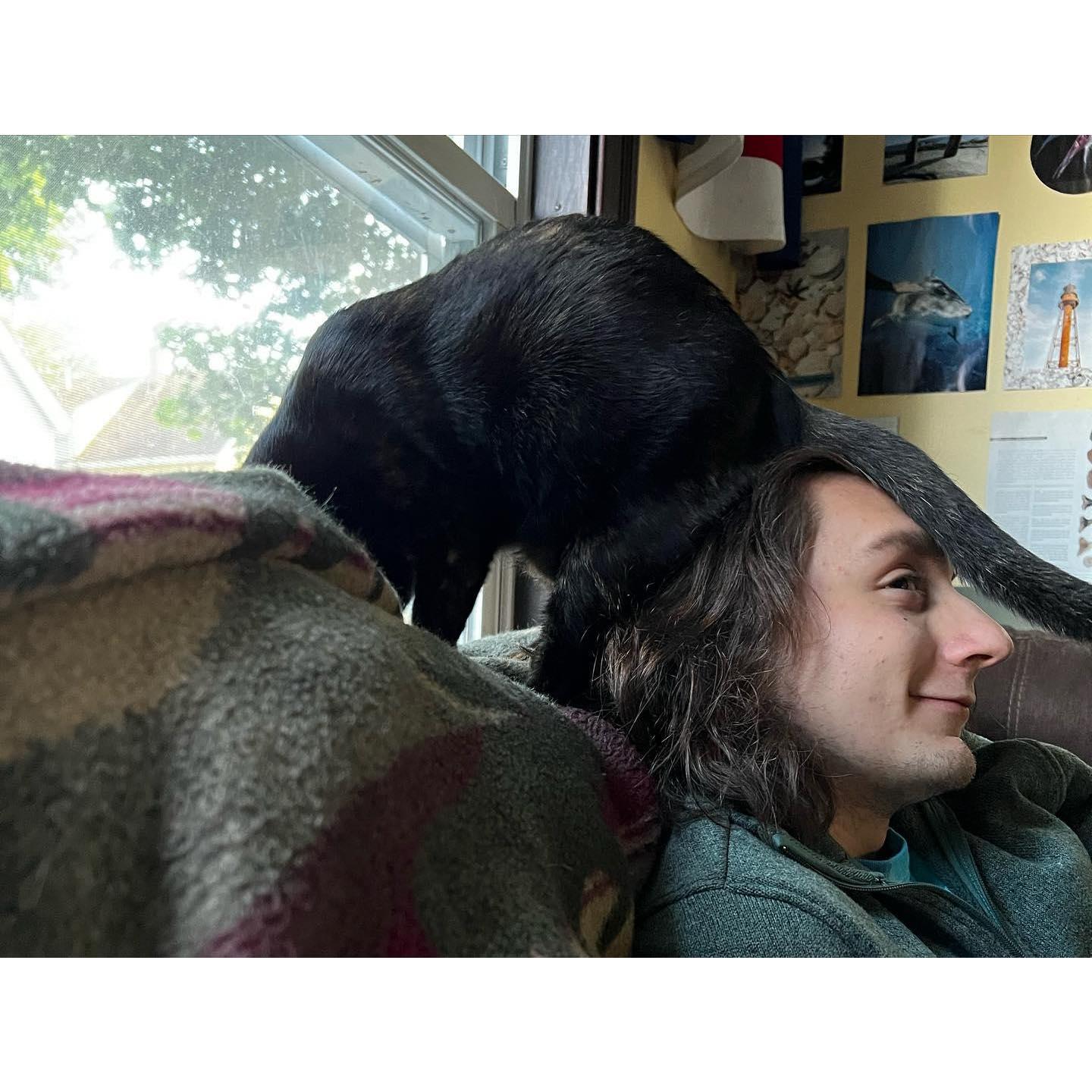Maru sitting on Josh's head, Purfect