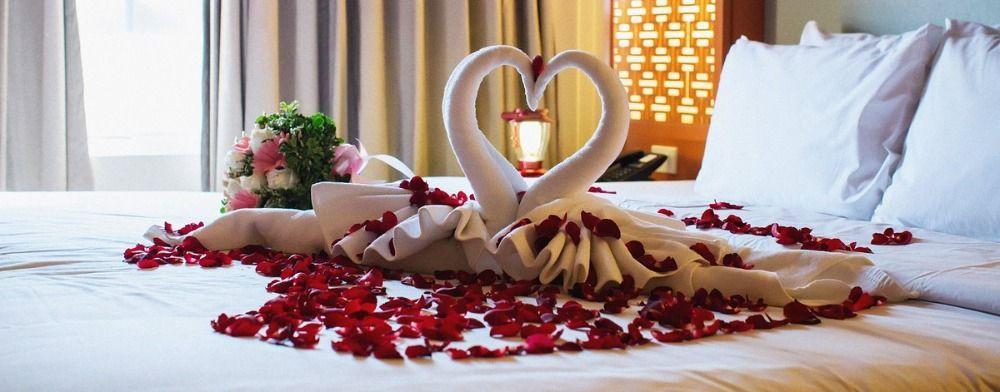 The Wedding Website of Carly Jade Osgood and Patrick John Creamer