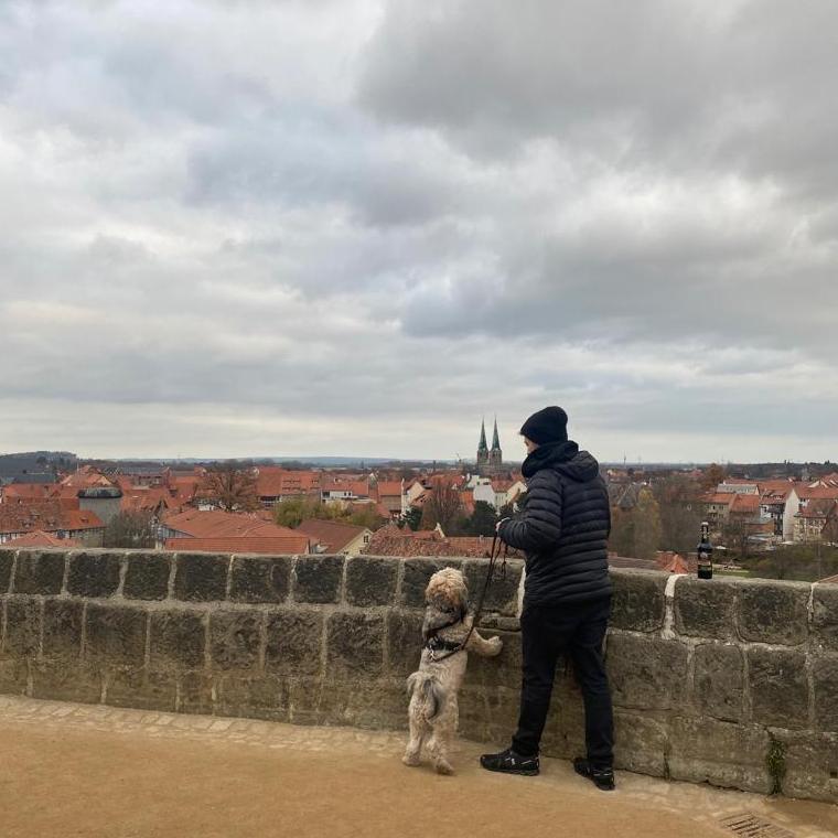 Overlooking Quedlinburg