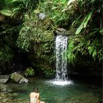 El Yunque National Forest