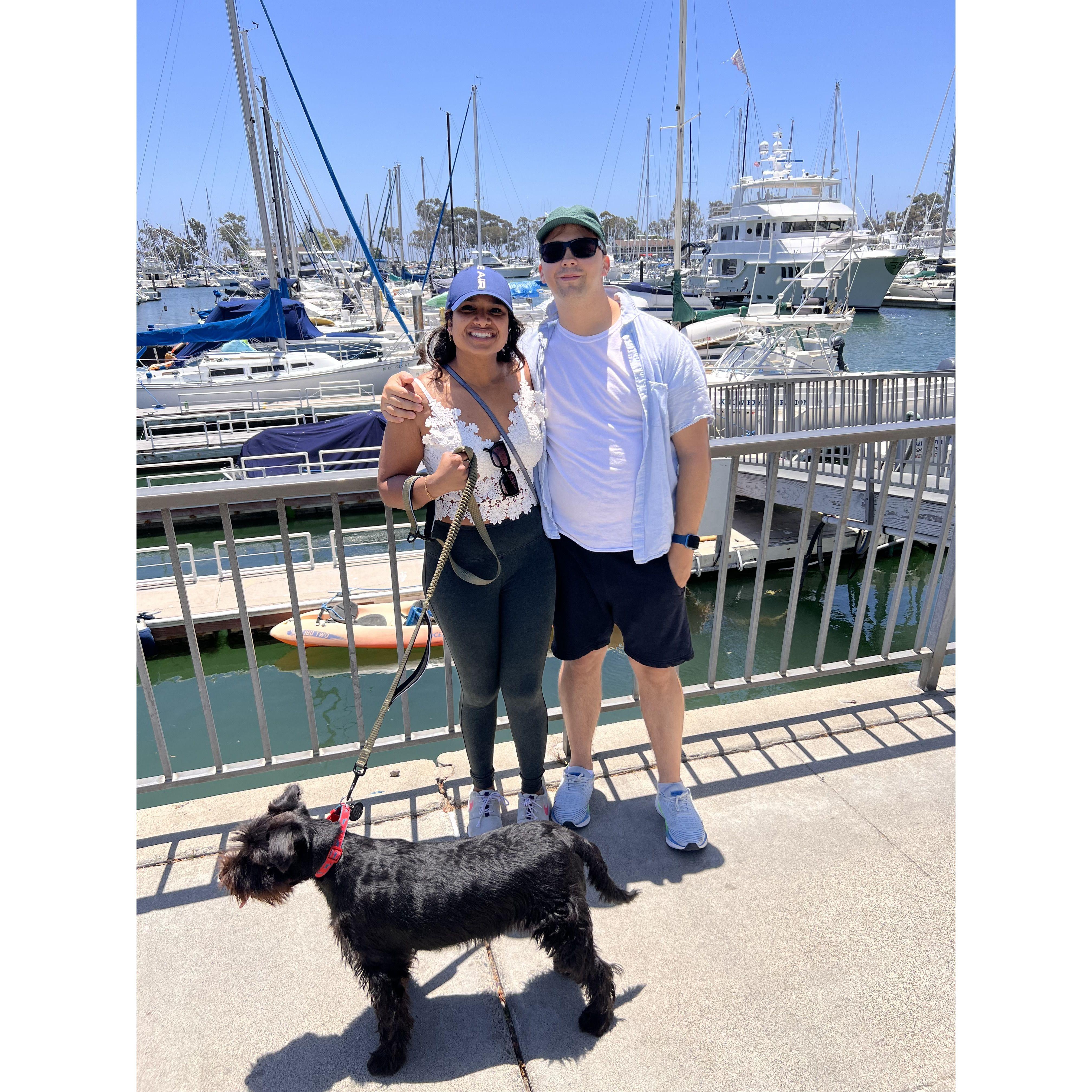 Harbor vibes with Matcha, relaxing and soaking it all in together.