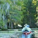 Blackwater Cypress Swamp Kayak Tour at Middleton Place