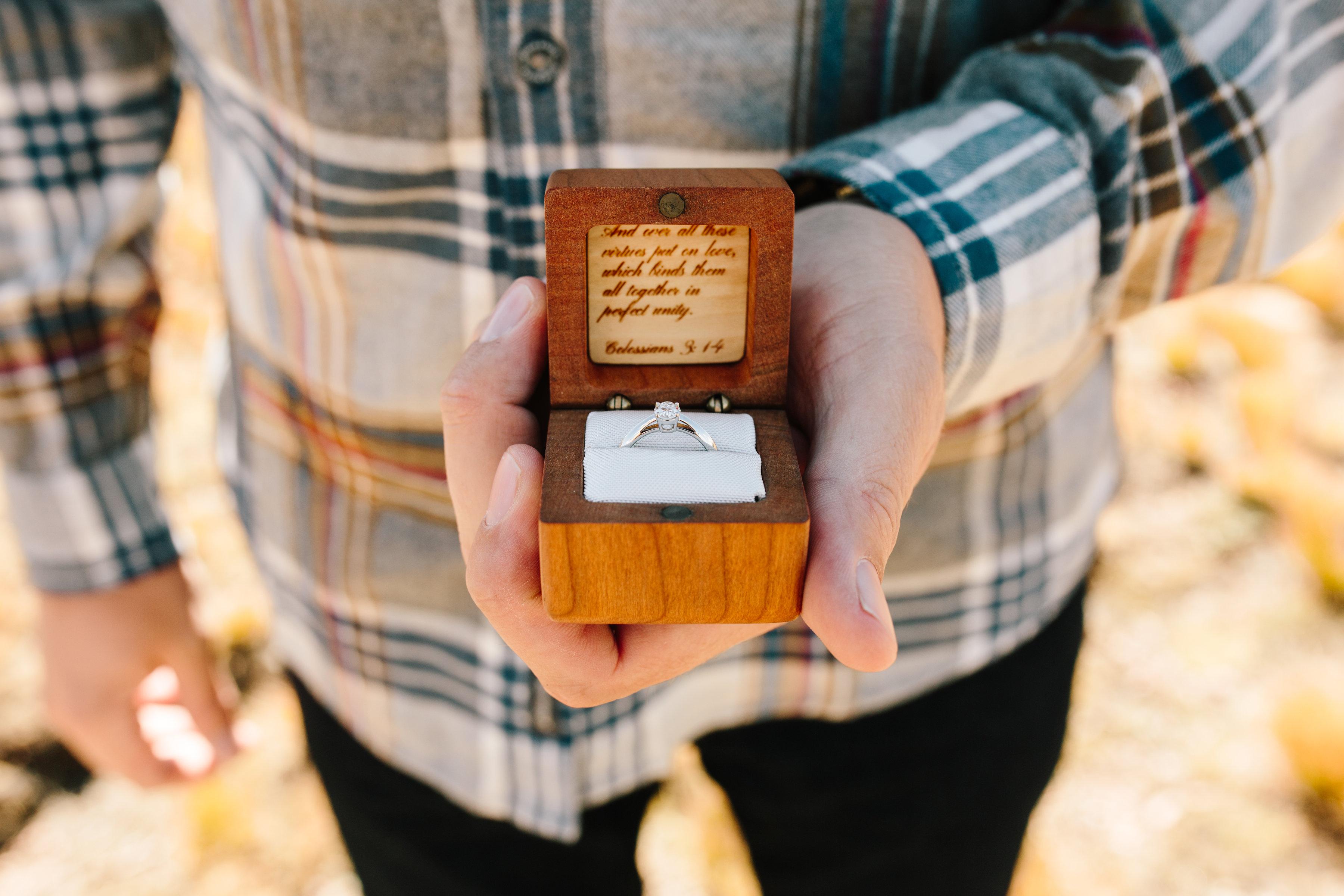 The Wedding Website of Lindsay Zeberlein and Stuart Tozer