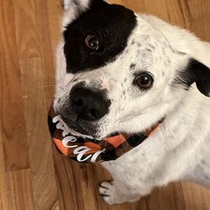 Winri's Halloween Party Protection Plan