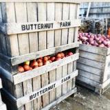 Butternut Farm