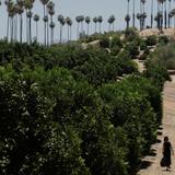 California Citrus State Park