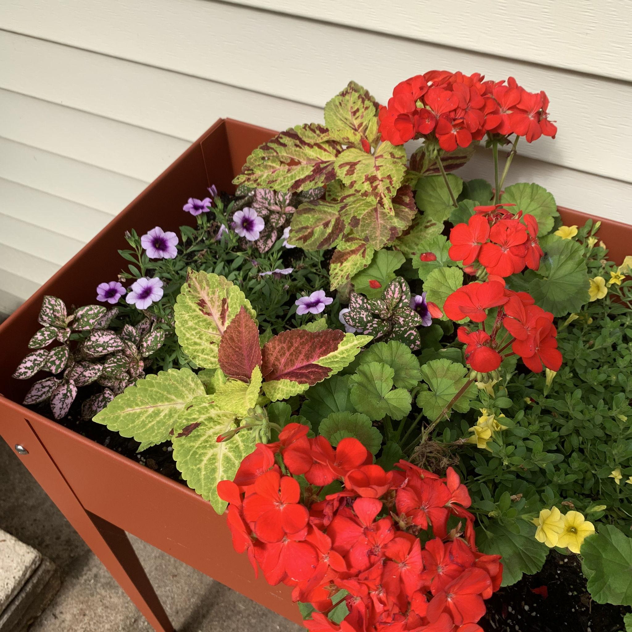 More gardening... I expanded.