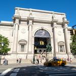 American Museum of Natural History