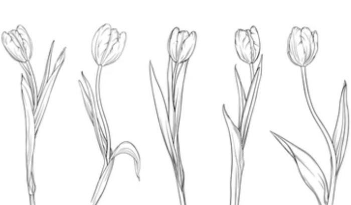 The Wedding Website of Rebecca Rippy and Mitchell Smith