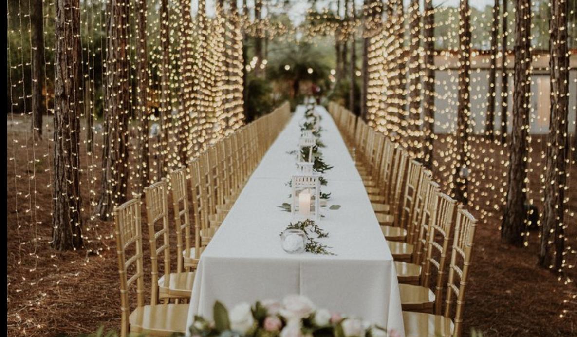 The Wedding Website of Lindsey Wilcox and Troy Whisnant