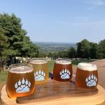 Bear Chase Brewing Company