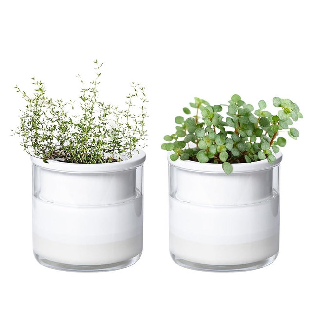 Phoenix Vine 4 Inch Self Watering Planter Pot, Design White Terracotta Pots for Plants, Indoor Cylinder Terra Cotta Pots with Glass Vase, Set of 2, 51-B-E-2