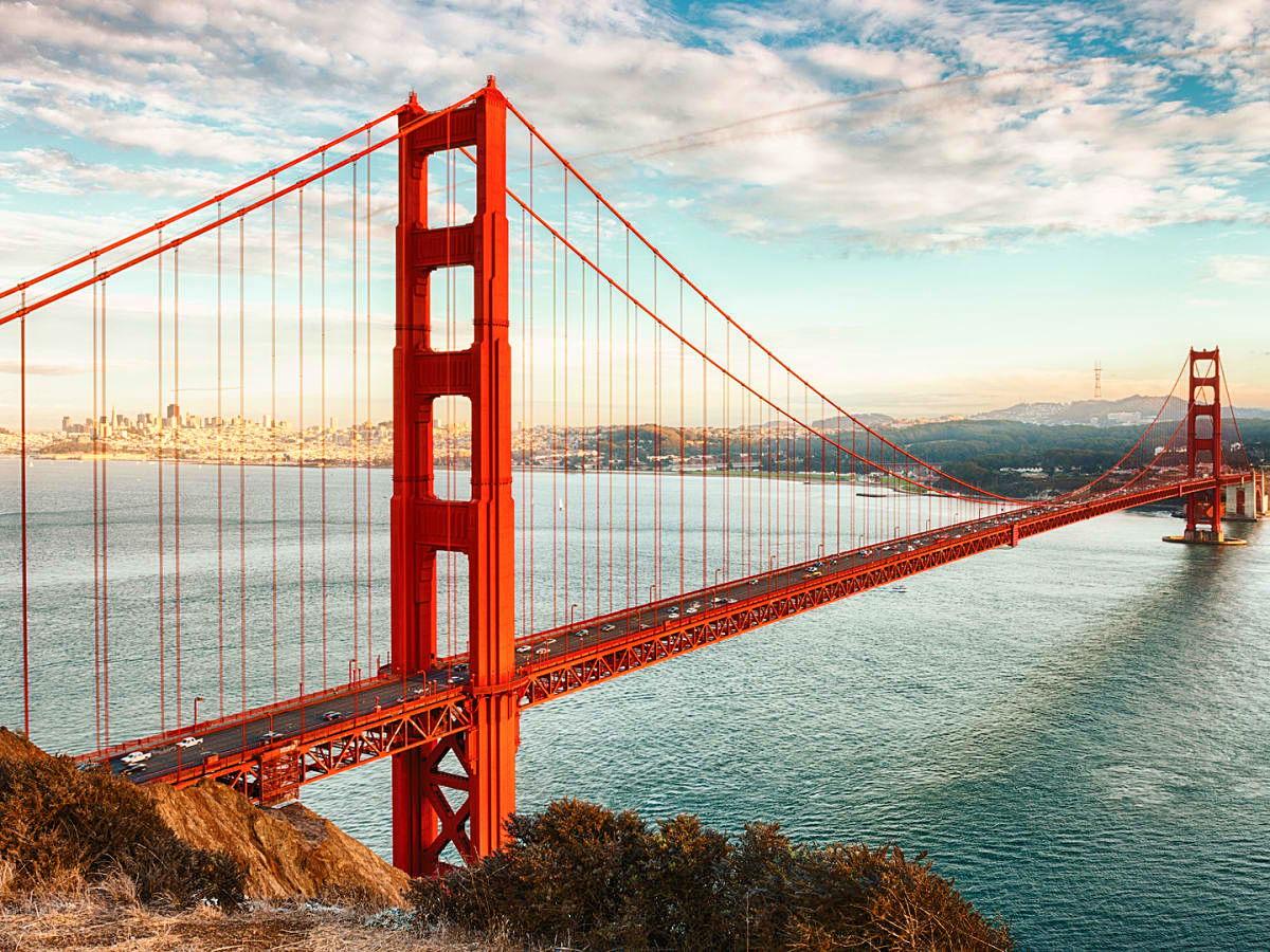 The Wedding Website of Amanda Steffani and Marcus Steele