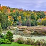 Minnesota Landscape Arboretum