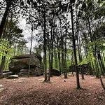Thunder Rocks in Allegany State Park