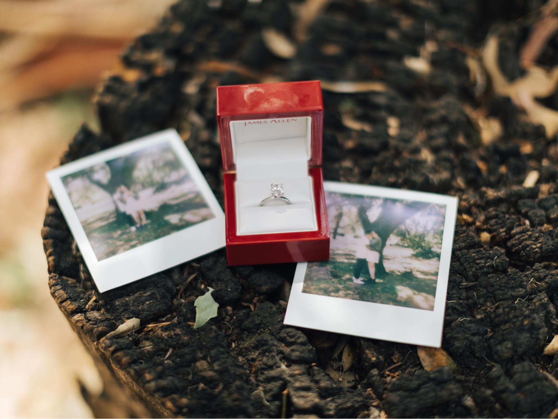 The Wedding Website of Haley Balcazar Burris and Sergio Balcazar Mendoza