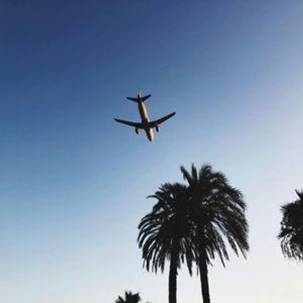 Plane Tickets (Honeymoon)