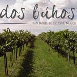 Viñedo Dos Buhos