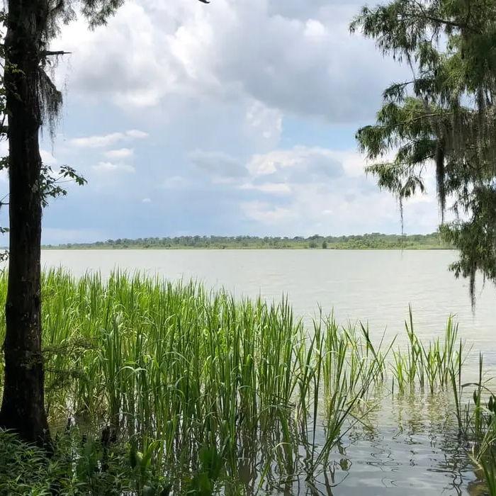 View from boardwalk
