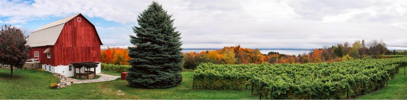 The Wedding Website of J.D. Sheets and Allison Cook