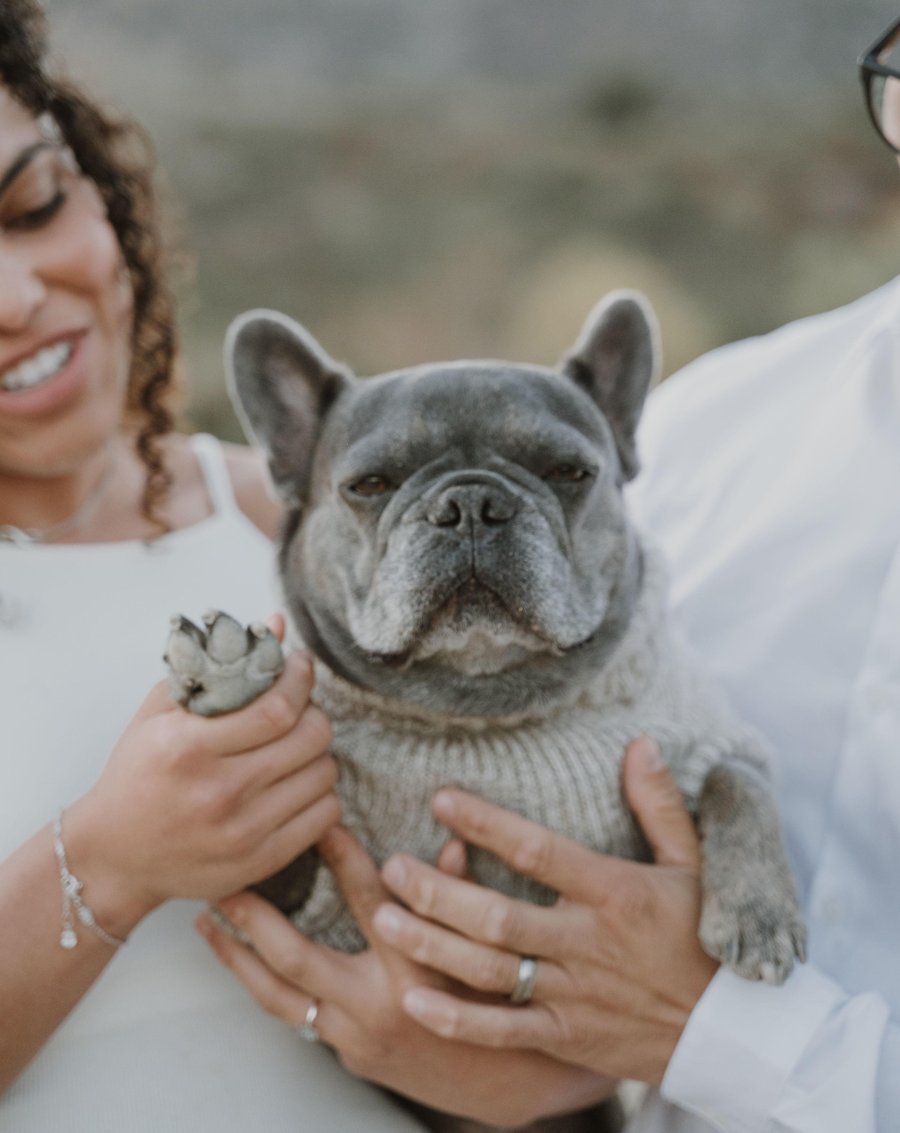 The Wedding Website of Steffano Cavalcante and Sarah Galvao