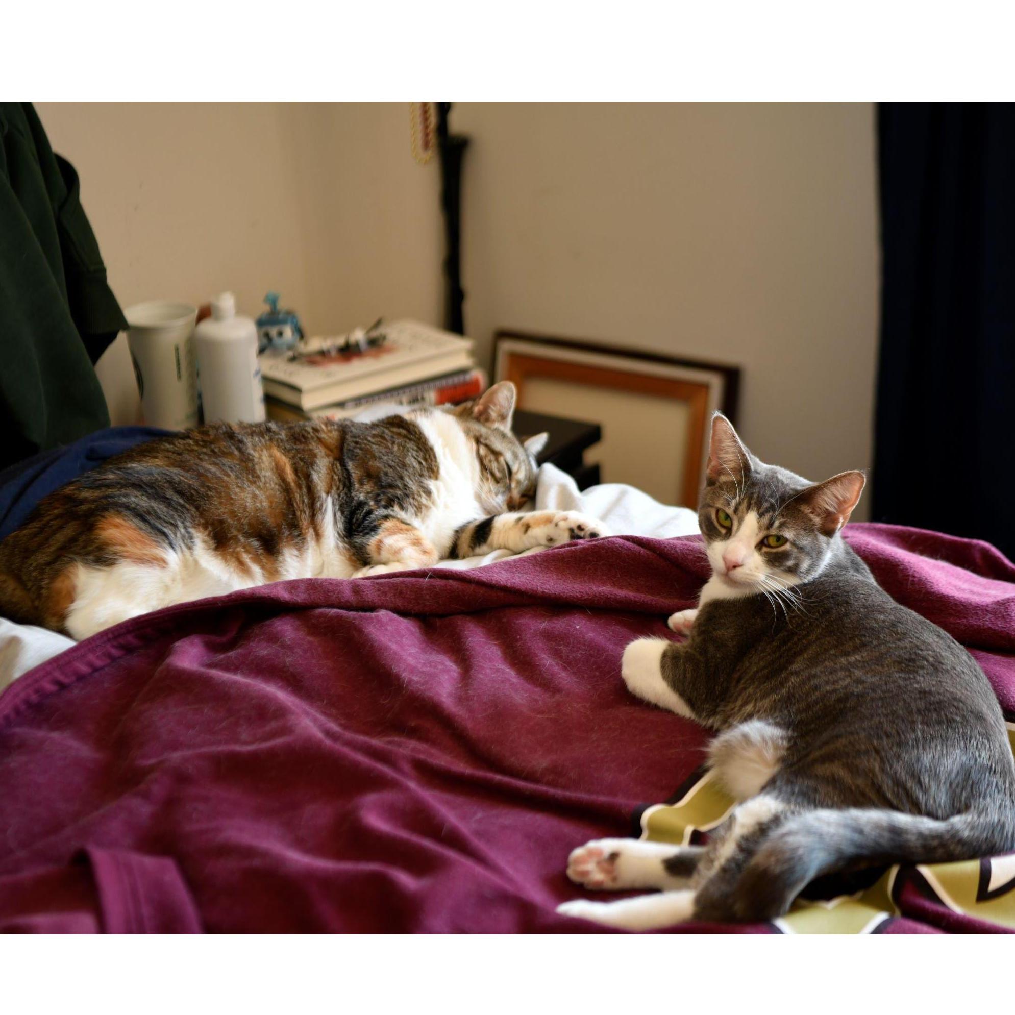 Cecelia (CeCe) and Sebastian (Bash)