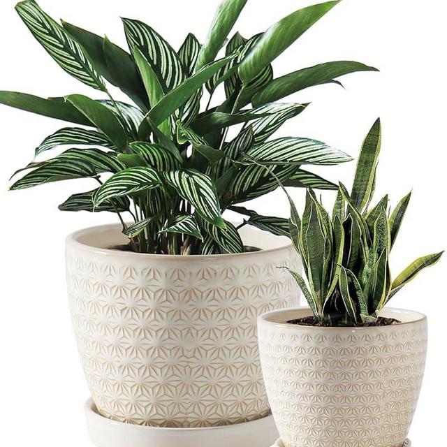 Ceramics Plant Pots Indoor, 6.5/5.5 Inch Planters with Drainage Hole and Saucer, Flower Pots for Snake Plants and Cactus, Indoor/Outdoor, Set of 2 Gardening Decoration Gift,White
