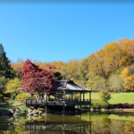 Brookside Gardens