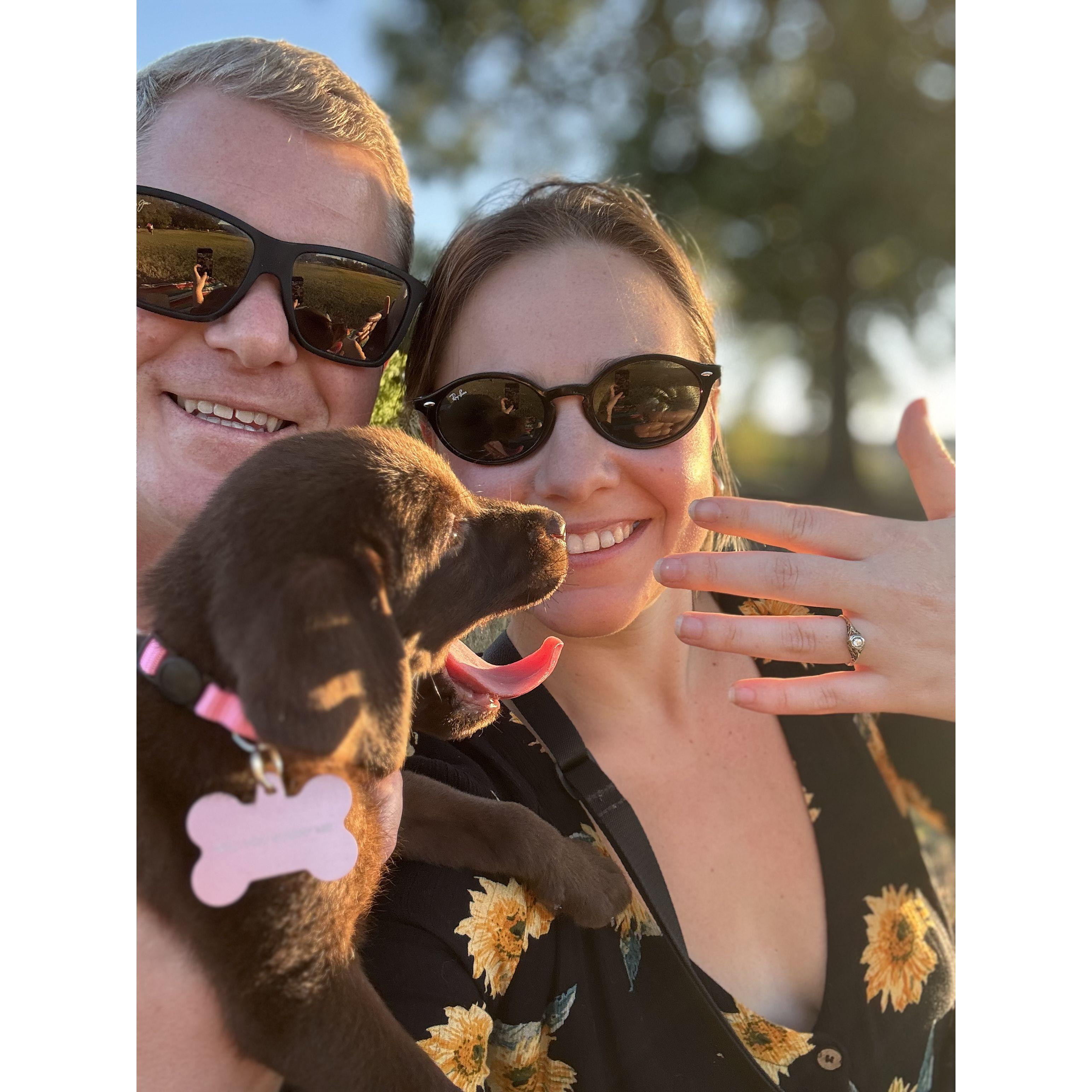 On a quiet Friday evening, we got engaged. And added a new member to our family, LuAnne!