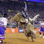 Houston Rodeo