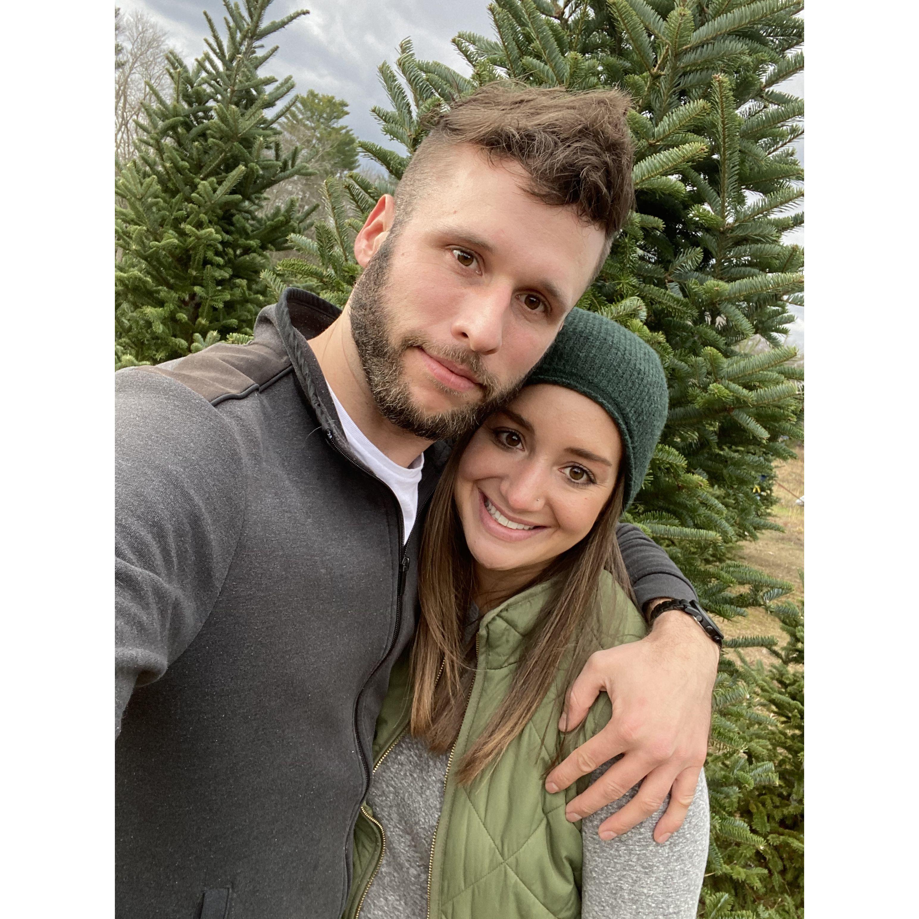 cutting down our first Christmas tree