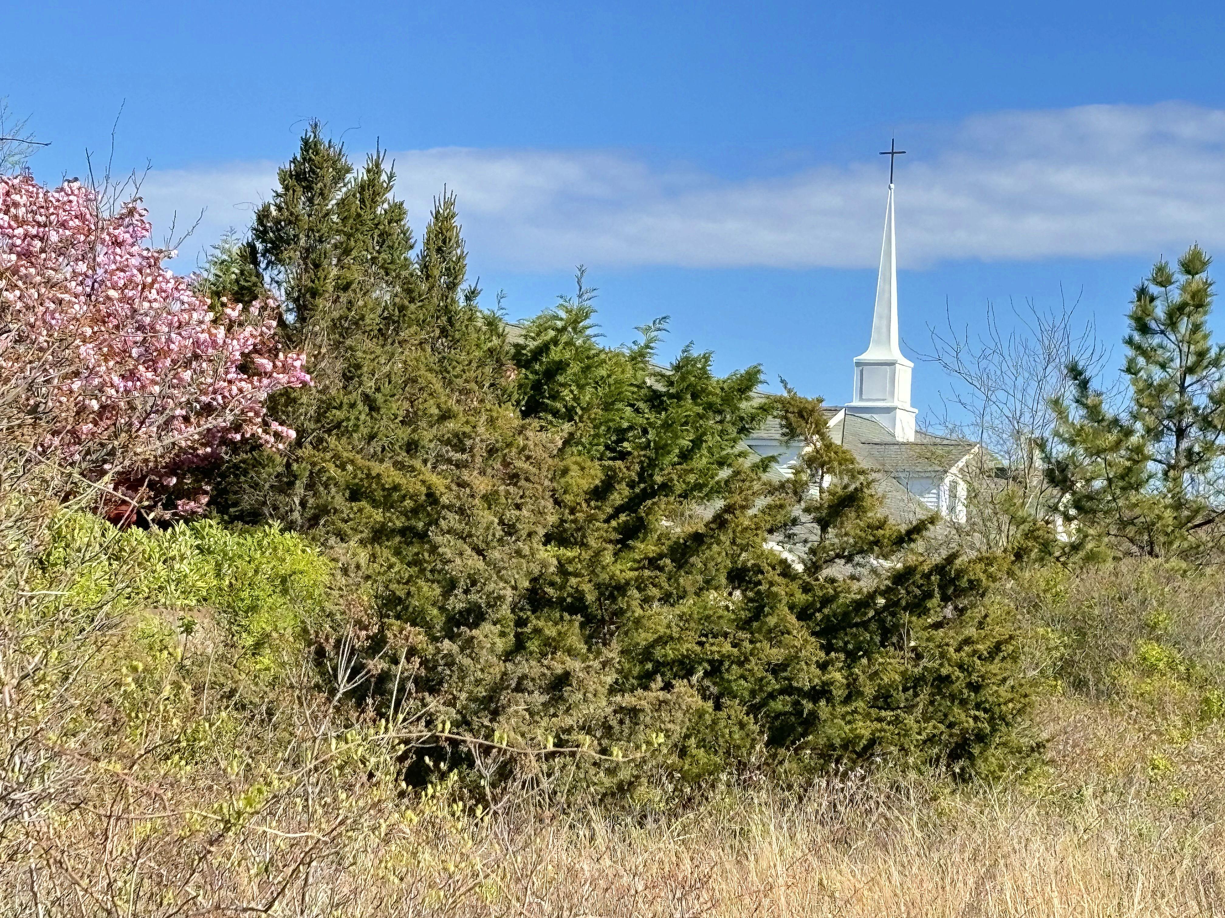 The Wedding Website of Daniel Noonan and Allison Bevers