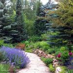 BETTY FORD ALPINE GARDENS