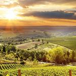 Chianti Wine Tour