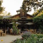 Taste at Roblar Winery and Vineyards