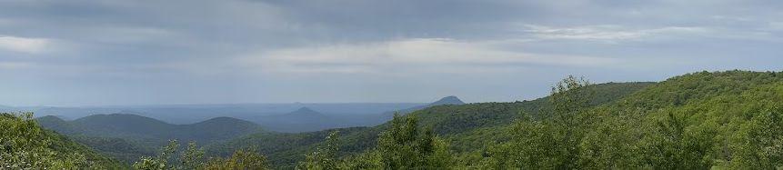 The Wedding Website of Julia Brace and Brendan Carroll