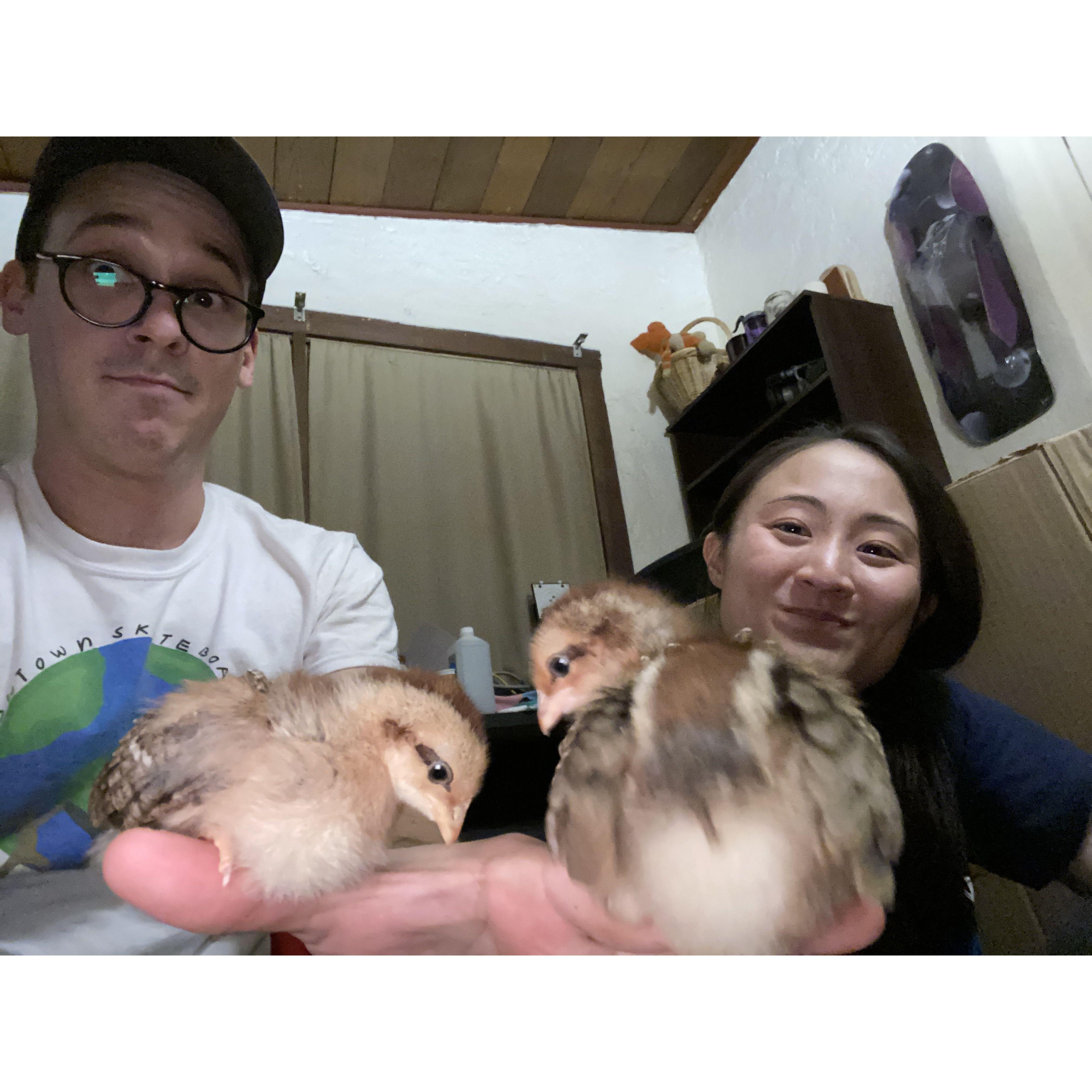 Our first night with Jen's Hens