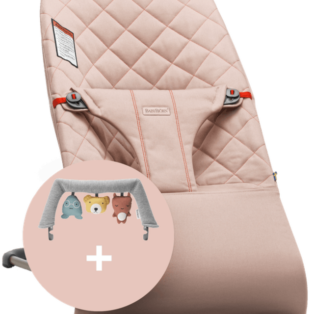 BabyBjorn Baby Bouncer