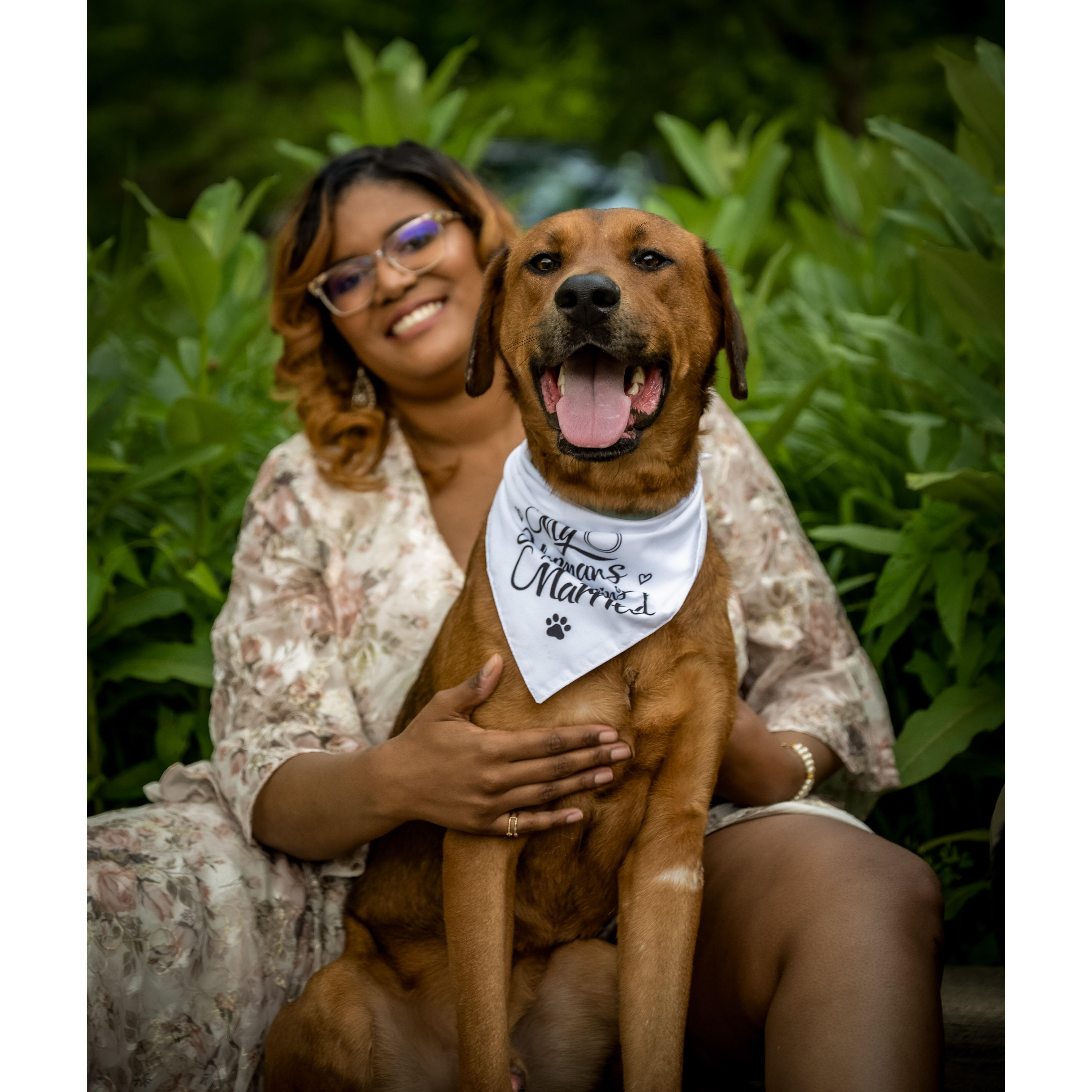 Jin702 Photography - Engagement Shoot at Brookside Gardens - Wheaton, MD (05/23/25)