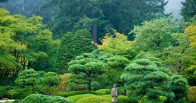 Portland Japanese Garden