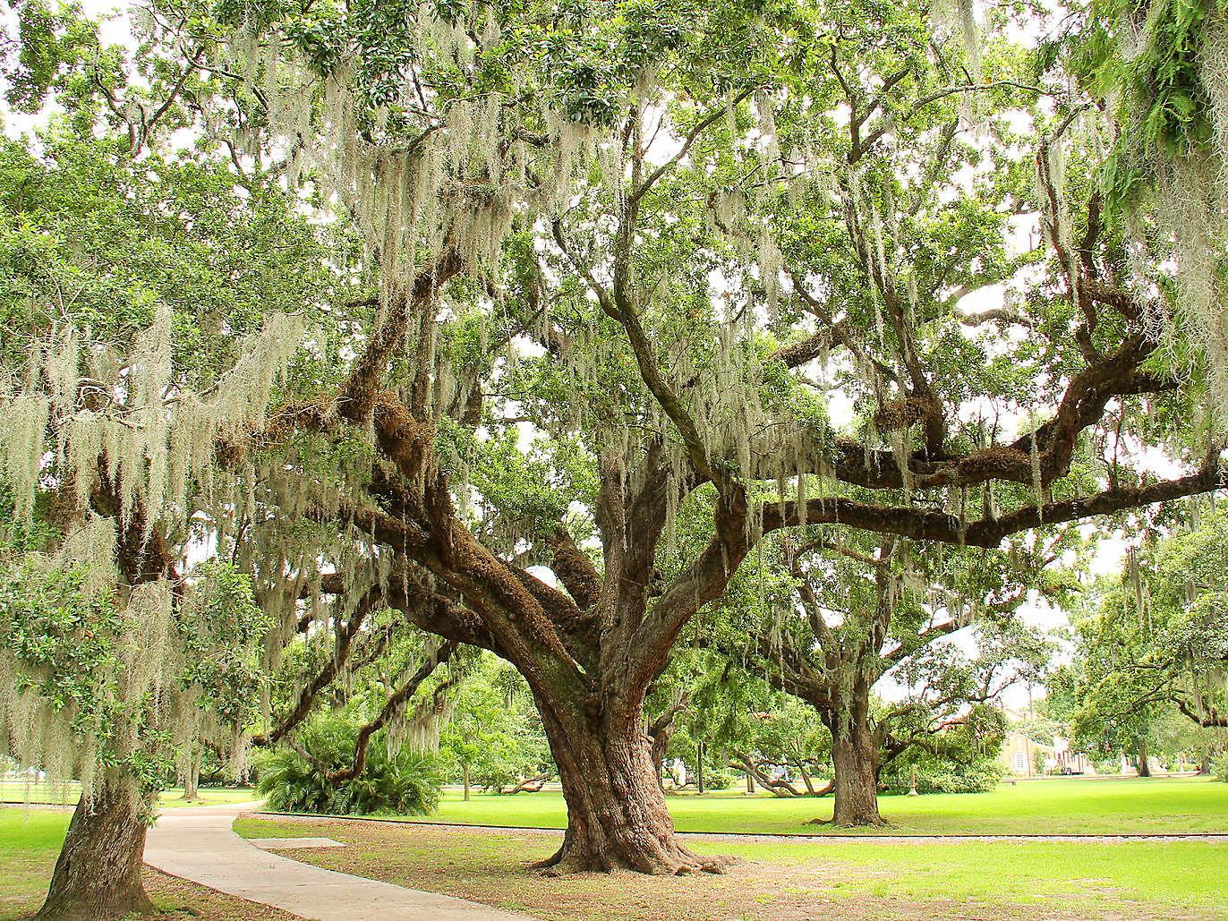 The Wedding Website of Ariel Jackson and Hiram Mojica