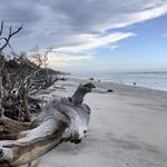 Little Talbot Island State Park