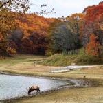 Lone Elk Park
