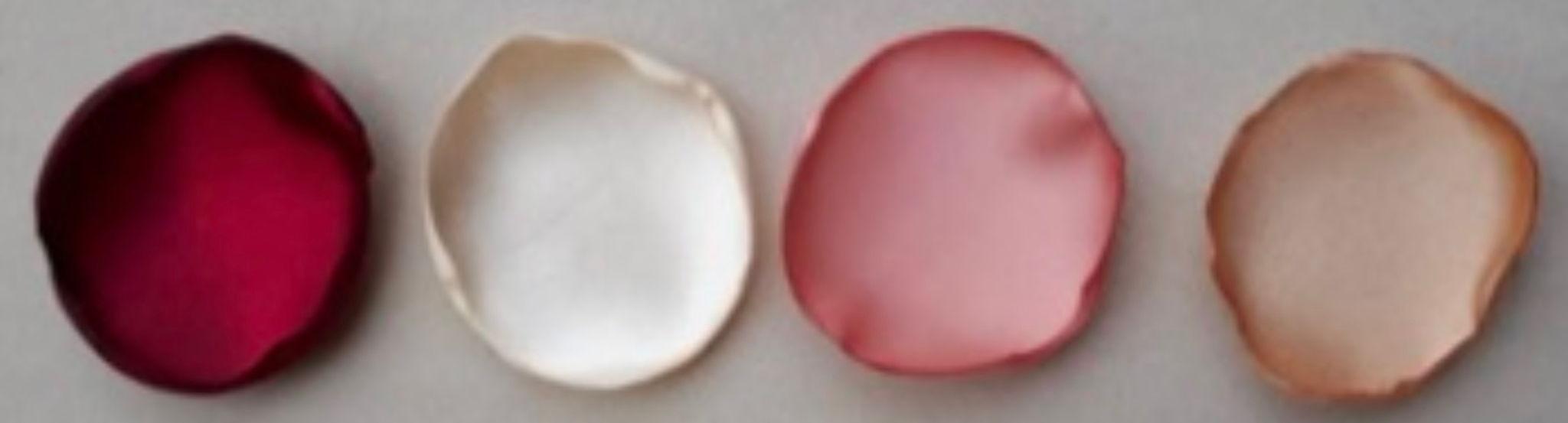 The Wedding Website of Haley Schroeder and Casey Szczublewski