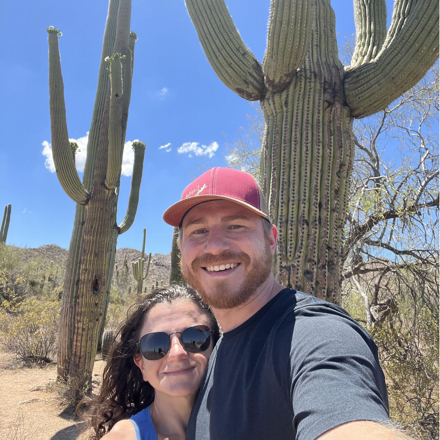 Saguaro national park, road trip of 2023