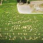 The Maize