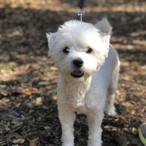 Cubby Fund