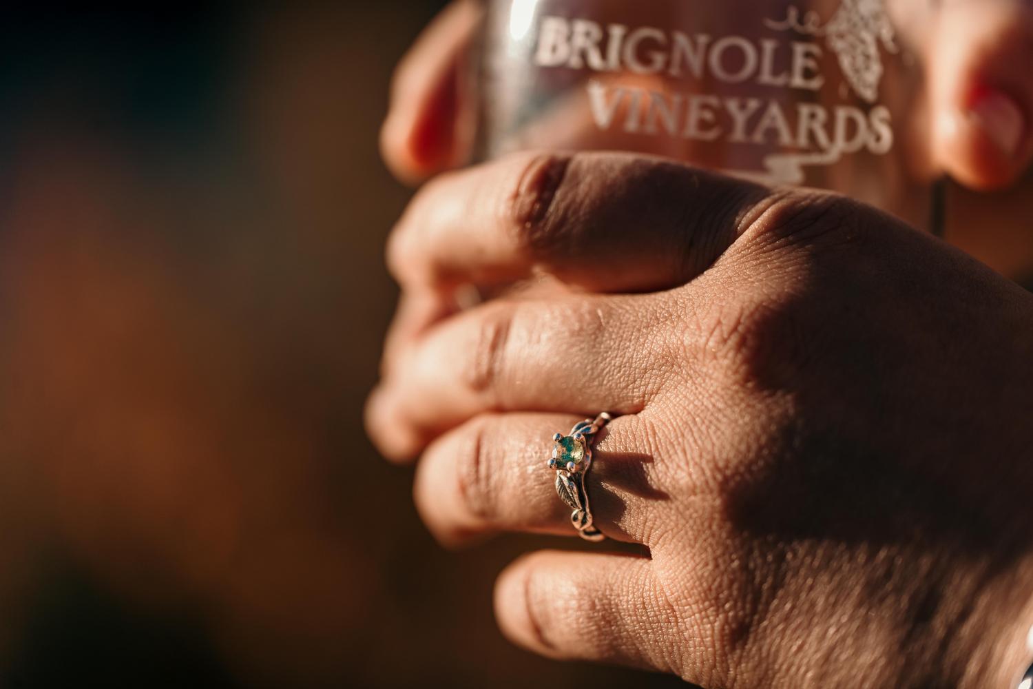 The Wedding Website of Lani Dove and Christopher Wrubel